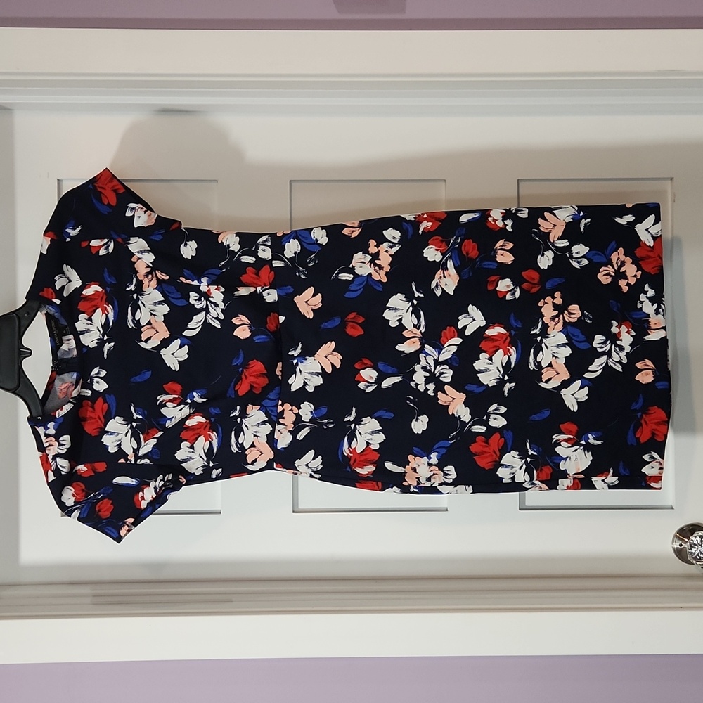 Banana Republic red white and blue floral sheath dress size 0